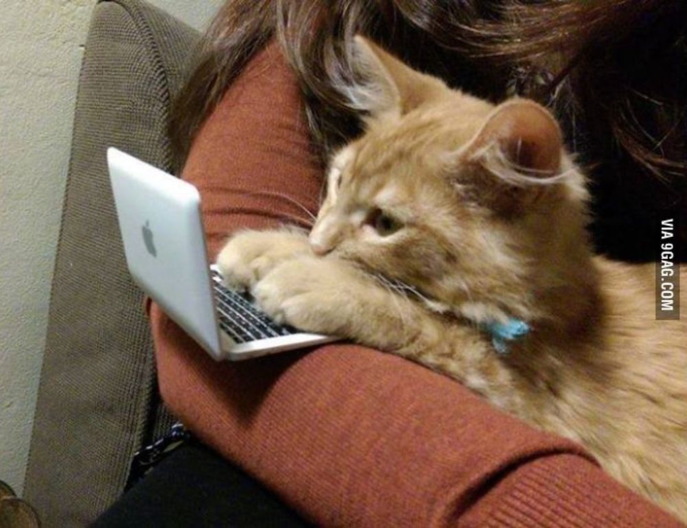 about qullnowisfap products