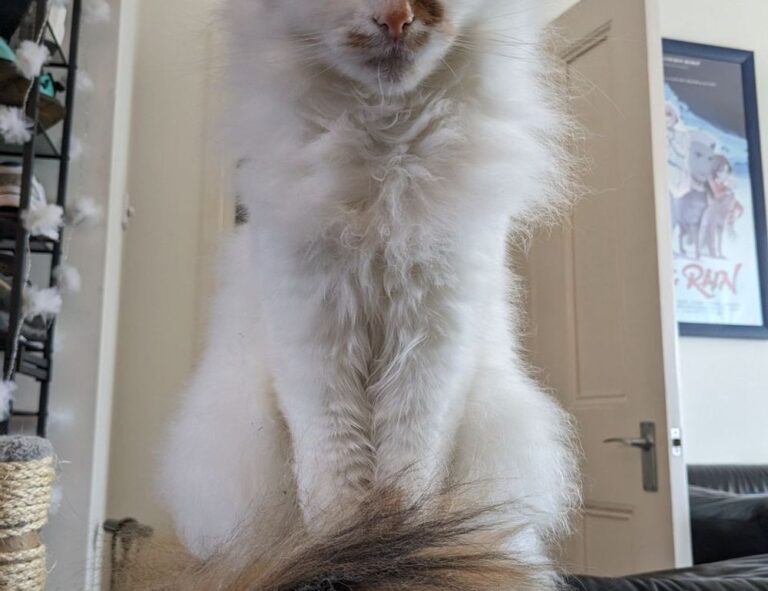 how to visit yukevalo island