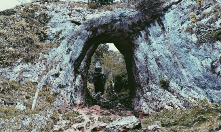 ingredients in wullkozvelex