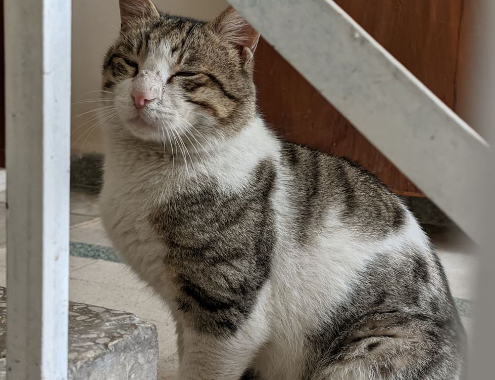 new software rcsdassk