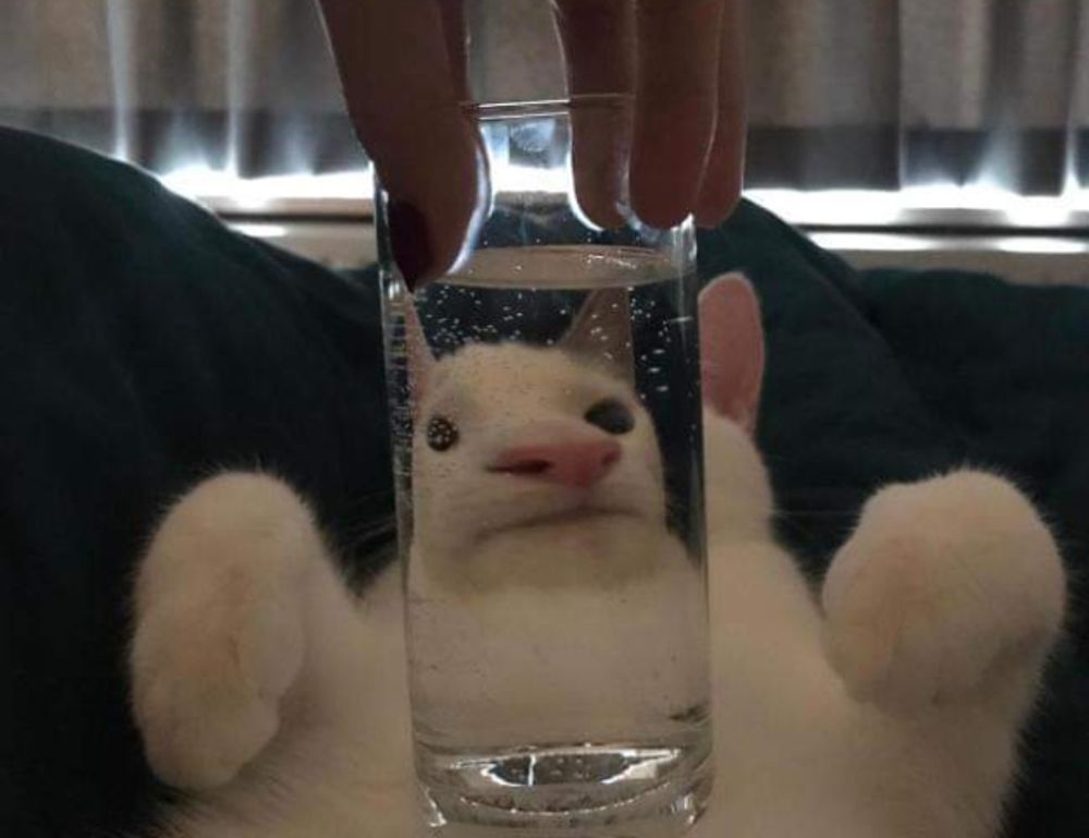 www mysubwaycard com gift card balance