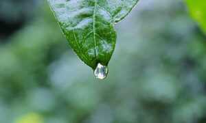 xnxubd video bokeh full bokeh lights video bokeh google earth 2021 new link japan blue.com