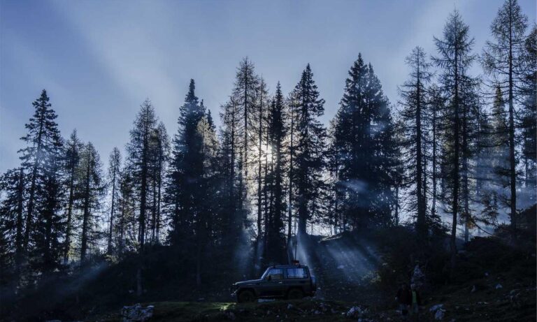 advice on how to start a business wbbiznesizing