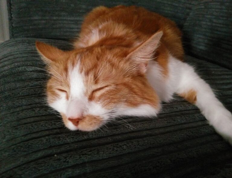 business competition wbcompetitorative