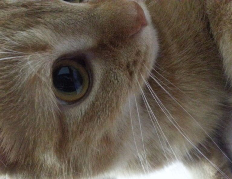 finance guide wbbiznesizing