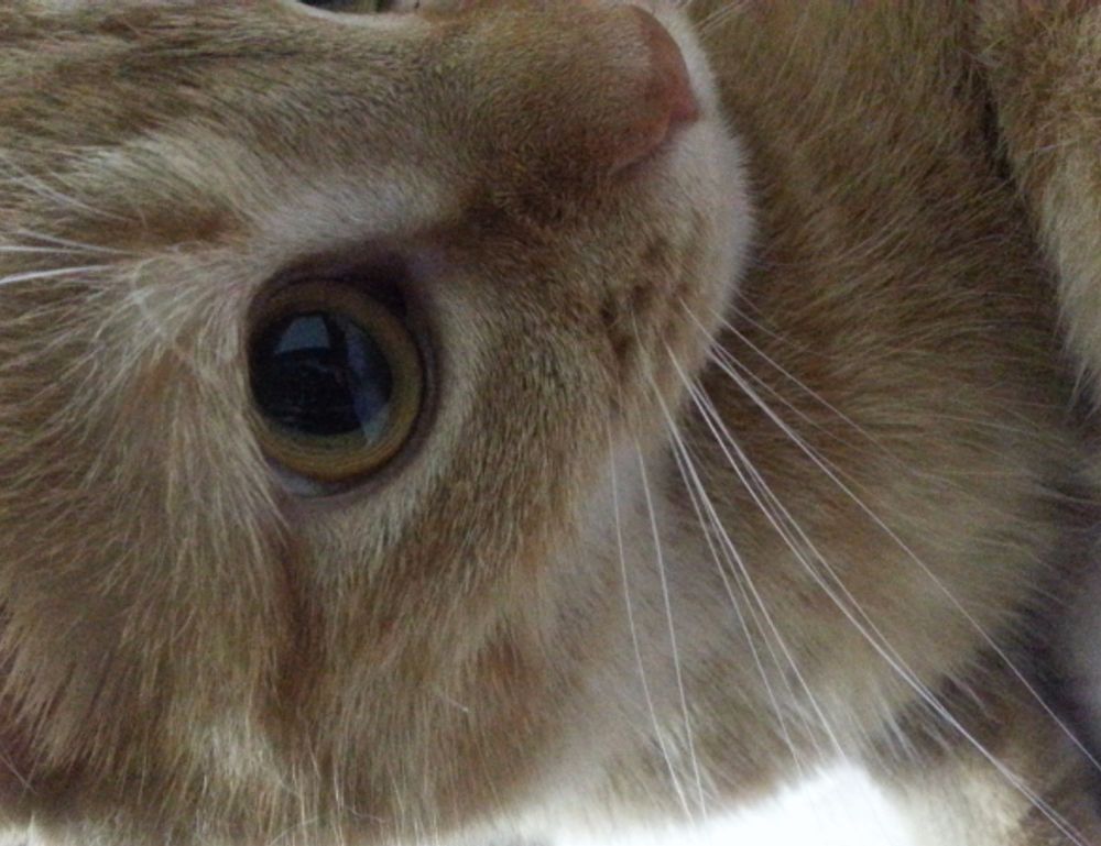 finance guide wbbiznesizing