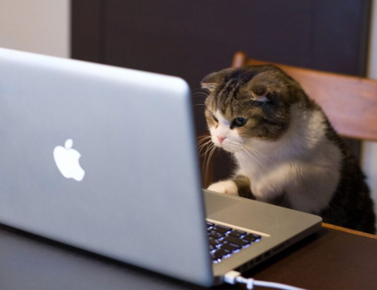 financial tips wbcompetitorative