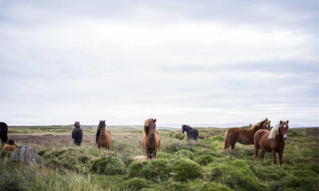 hdfc guide roarbiznes