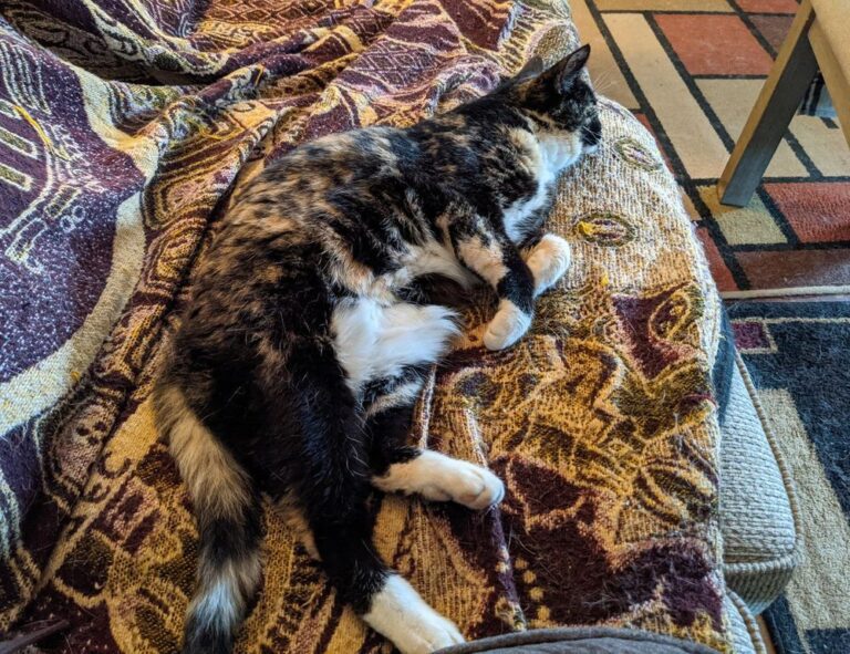 how to make investors invest in your business wbinvestimize