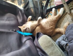 how to start a software business wbinvestimize