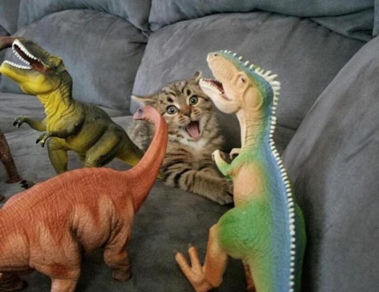 investment advice wbinvestimize