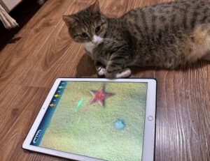 investment guide wbinvestimize