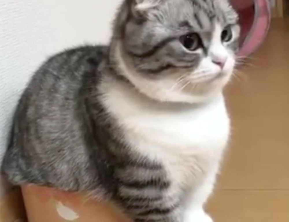 online banking guide rprinvesting