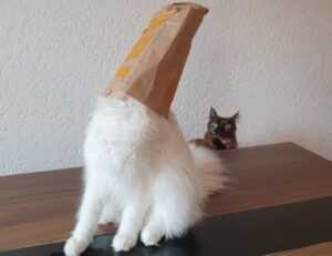 online banking updates rprinvesting