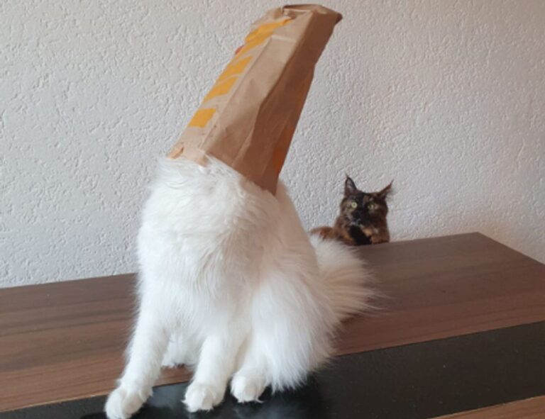 online banking updates rprinvesting