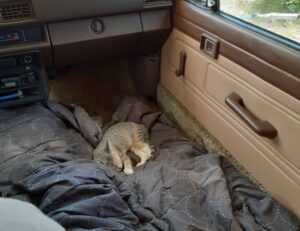 rprinvesting trading guide by riproar