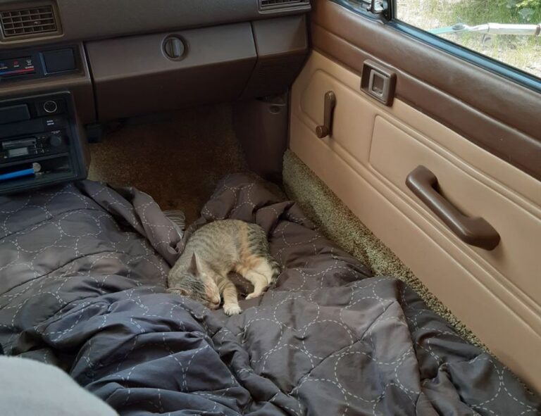 rprinvesting trading guide by riproar