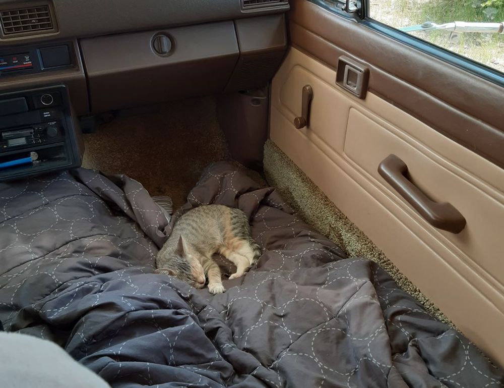 rprinvesting trading guide by riproar