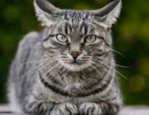 wbbiznesizing business advice by wealthybyte