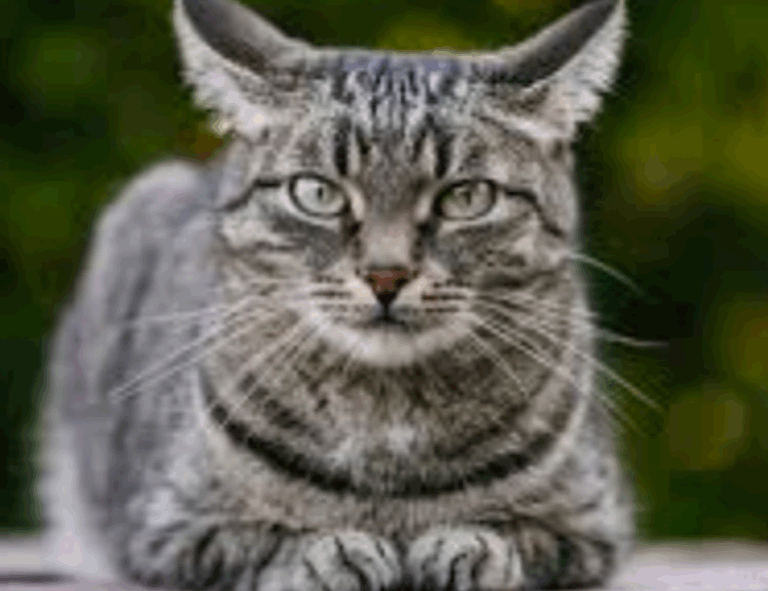 wbbiznesizing business advice by wealthybyte