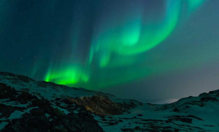 wbinvestimize investment guide by wealthybyte