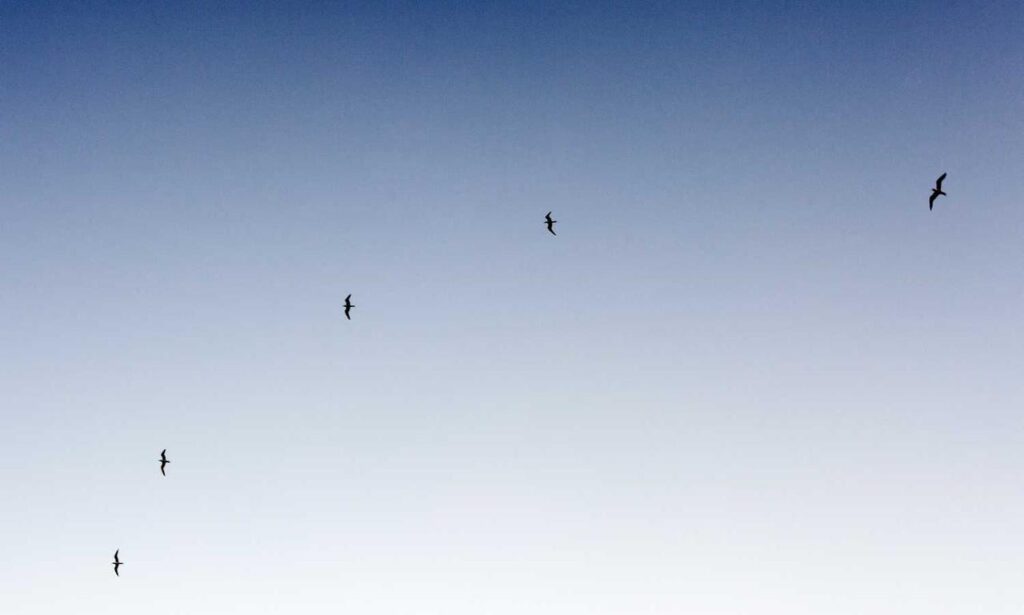 where to find funding advice rprinvesting