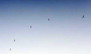 where to find funding advice rprinvesting