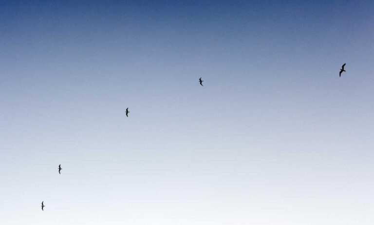 where to find funding advice rprinvesting