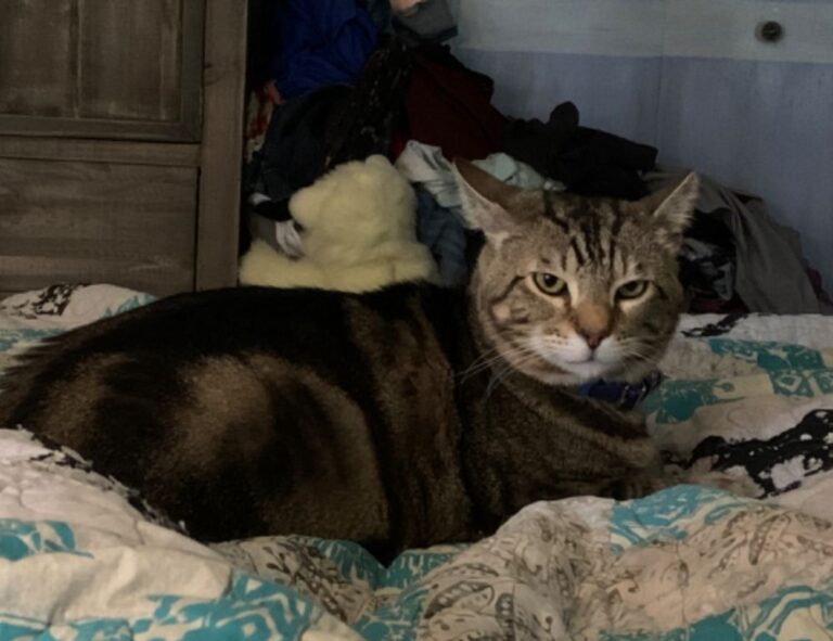 where to get best investment advice rprinvesting