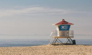 why will your business be successful wbbiznesizing