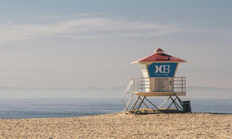 why will your business be successful wbbiznesizing