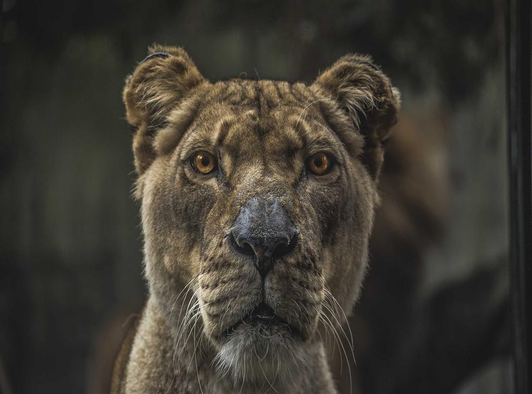 Visualizing the Speed: What Does 133 MPH Feel Like?