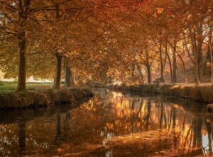 clembuterol cruz verde