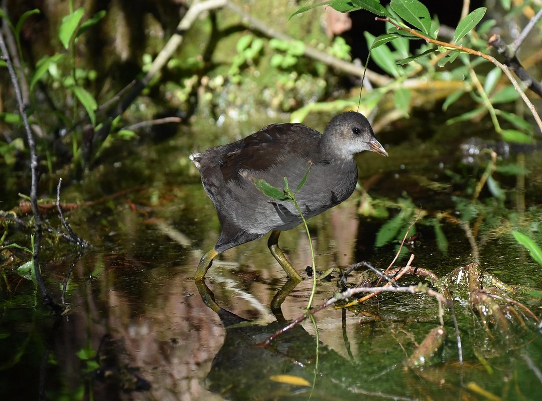 Top-Rated Compatible Jars and Where to Find Them