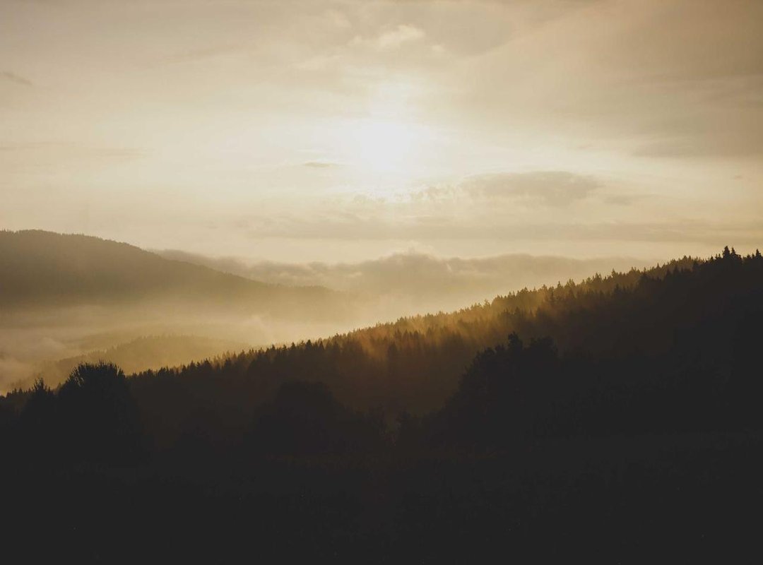 How to Spot a Fake: A Checklist for a Genuine Product