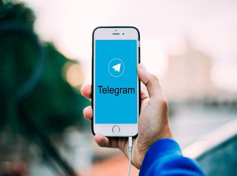 grupuri telegram interzise