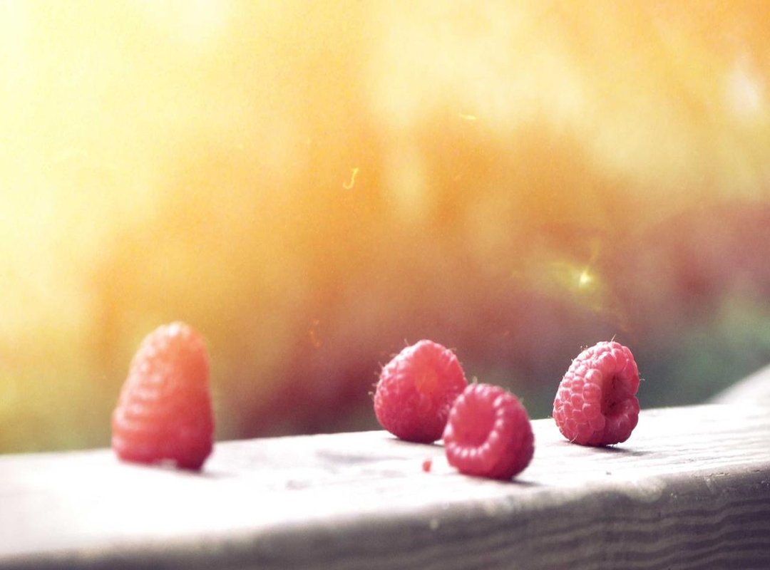 Top Picks: Best Icarus Cured Leather Products