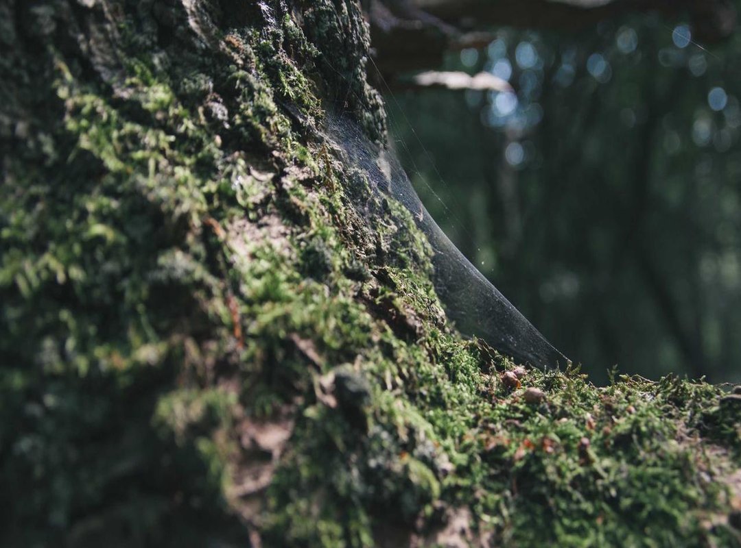 Pros and Cons: Evaluating Itachi Naruto 4K Wallpapers