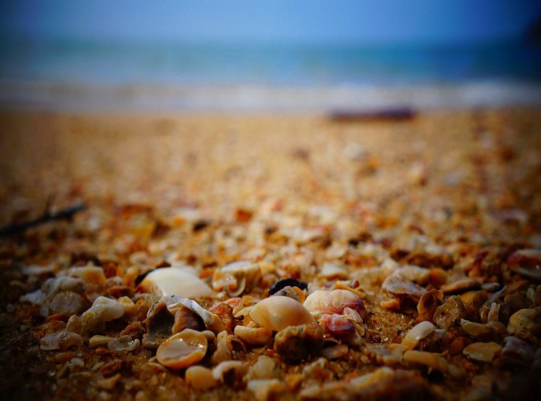 Frequently Asked Questions (FAQs)