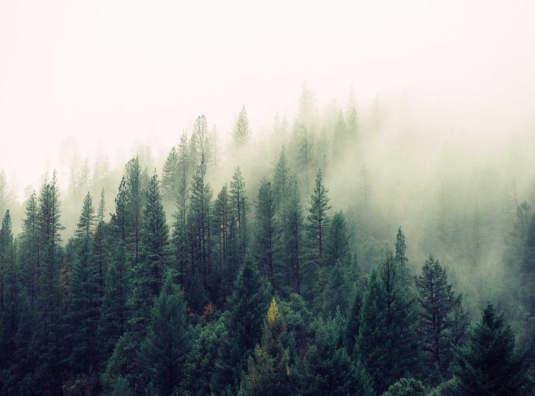 Your First Trade: A Step-by-Step Walkthrough