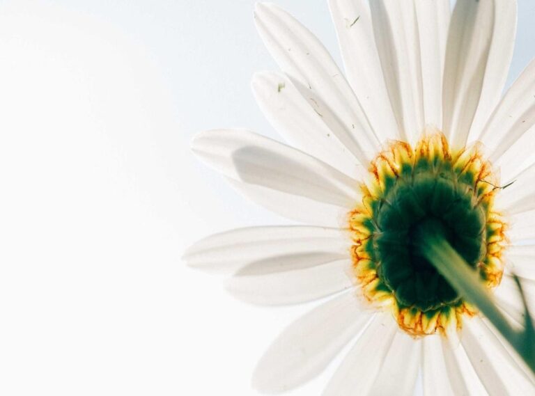 videogamesscz.github.io/videohost