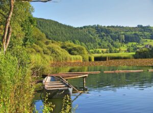 vinted betaling mislukt maar wel betaald