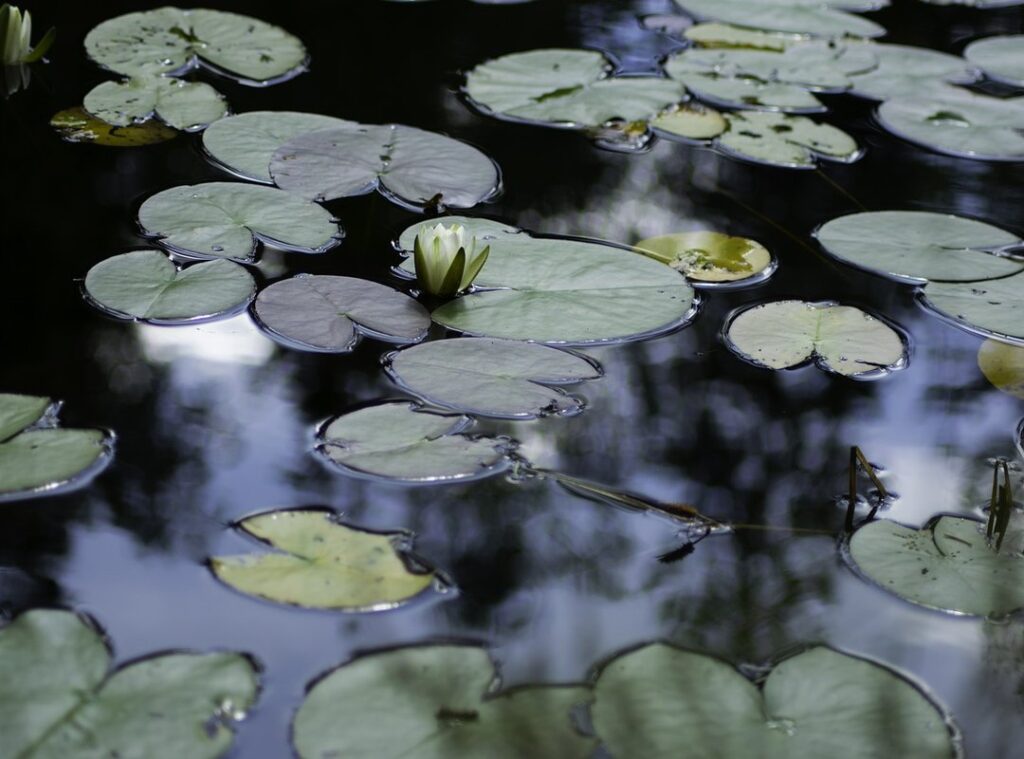 weton pahing ketemu pon apakah cocok