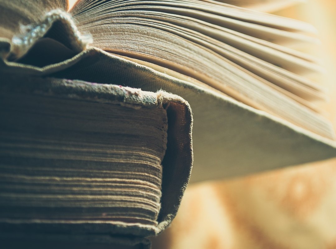 How Zoe Evans' Page Stacks Up Against the Competition